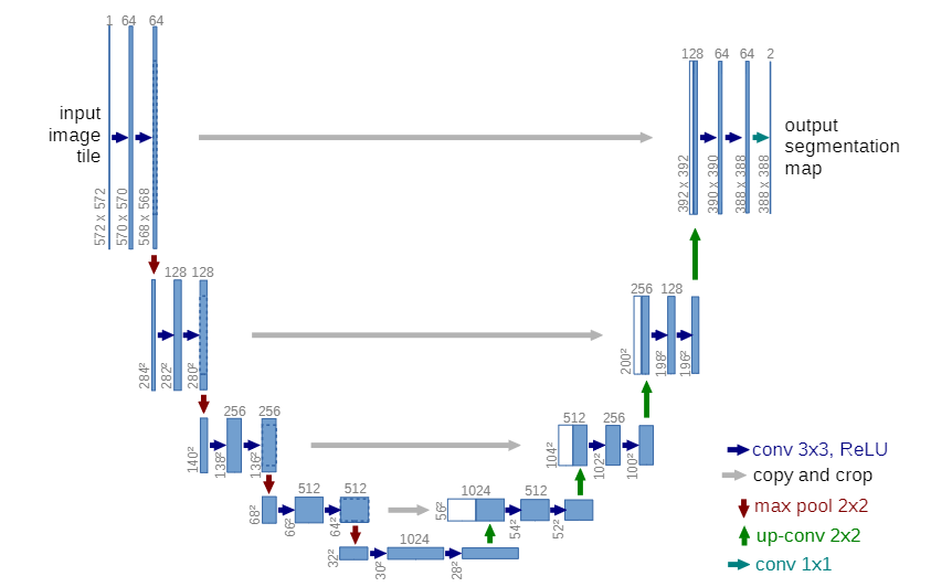 U-Net: Convolutional Networks for Biomedical Image Segmentation